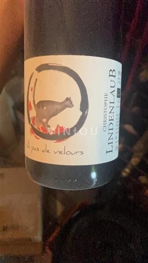 Alsacia Grand Cru Christophe Lindenlaub A pas de velours 2021