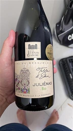 Vin Rouge sec Terre d’Eden Cave de Juliénas Chaintré 2023 France Beaujolais Juliénas AOC bio