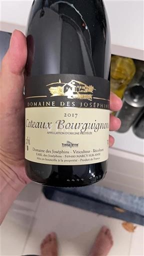 Burgundy Coteaux Bourguignons Domaine Des Joséphins 2017