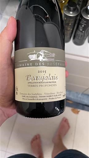 Beaujolais Domaine Des Joséphins Terres Profondes 2015