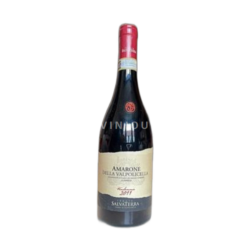 Vin Rouge sec Classico Tenute Salvaterra 2011 Italie Vénétie Amarone della Valpolicella DOC