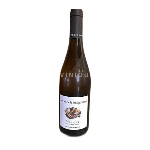 Valle della Loira Muscadet Sèvre et Maine Michel Delhommeau Le Clos de la Bourgeonnais 2023