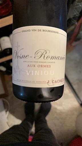 Burgundy Vosne-Romanée J. Cacheux Aux Ormes 2016