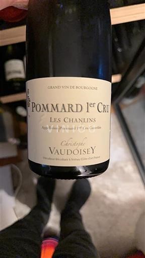 Burgundsko Pommard Premier Cru Christophe Vaudoisey Les Chanlins 2022