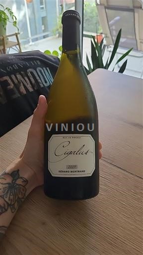 Languedoc a Roussillon Hauterive Gérard Bertrand Cigalus 2019