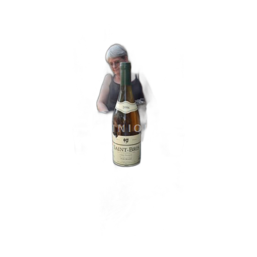 Burgundy Saint-Bris Jacky Renard 2006