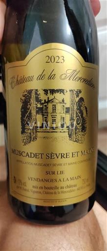 Valle della Loira Muscadet Sèvre et Maine Château La Mercerie 2023