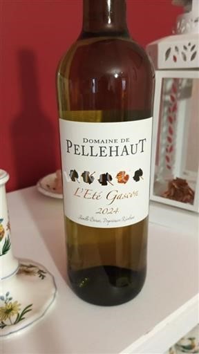Sudoeste Côtes de Gascogne Domaine Pellehaut L'Été Gascon 2024