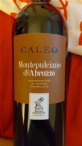 Vin Rouge sec Caleo 2023 Italie Abruzzes Montepulciano d'Abruzzo DOC