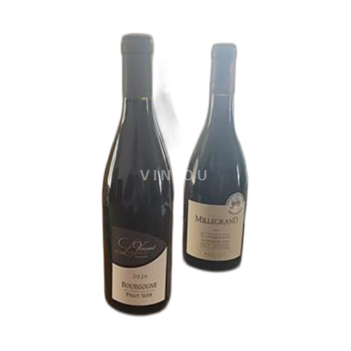 Bourgogne Vincent Legou 2020