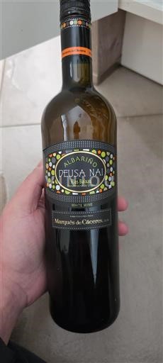 Vin Blanc sec Deusa Nai Marqués de Cáceres 2012 Espagne Galice Rías Baixas DO
