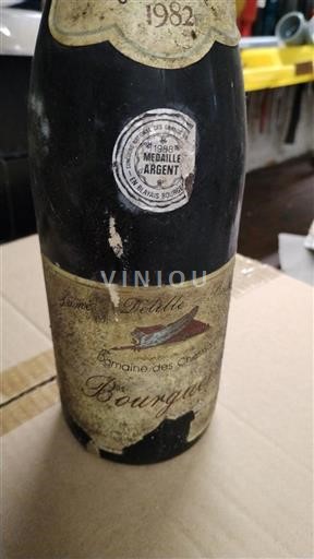 Valle della Loira Bourgueil Domaine Des Chesnaies 1982
