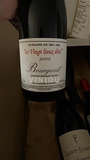 Valle della Loira Bourgueil Domaine Bel Air les Vingt lieux dits 2022