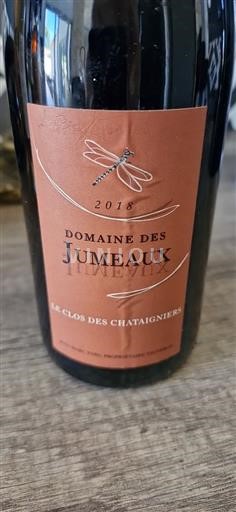 Vale do Loire Não especificado Domaine Des Jumeaux Le Clos des Chataigniers 2018