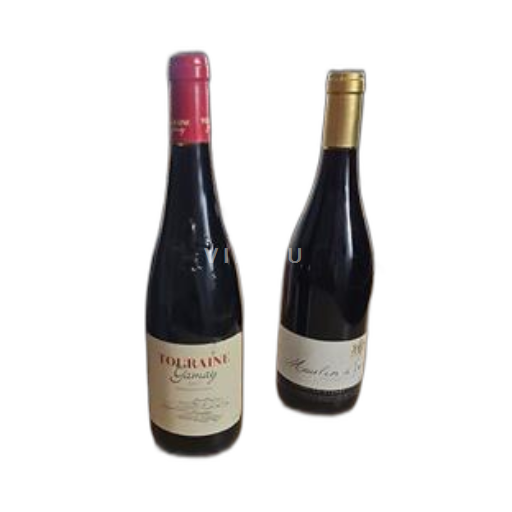Loire-dalen Touraine Gamay 2017