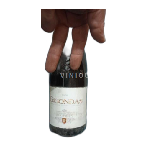 Valle del Rodano Gigondas Domaine Des Florets 2009