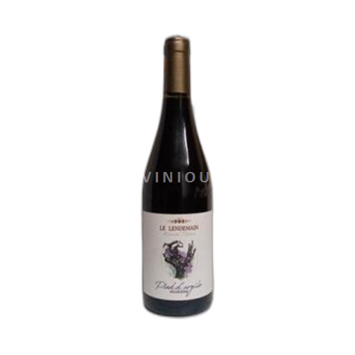 South West Ribière Le Lendemain 2019