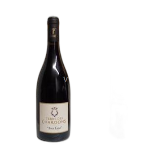 Rhônen laakso Nîmesin viinialue Terre des Chardons Bien Luné 2020