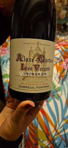 Bourgogne Aloxe-Corton Premier Cru Dubreuil-Fontaine Les Vercots 2022