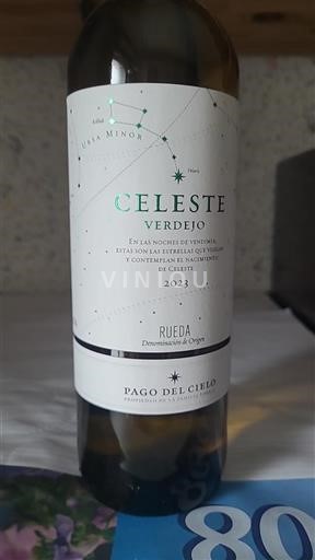 Vin Blanc sec Celeste Verdejo Pago del Cielo 2023 Espagne Castille et León Rueda