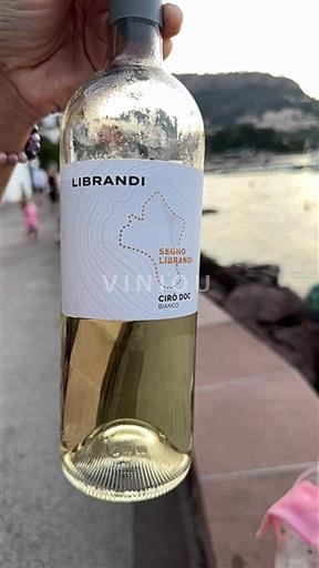 Calabria Cirò Librandi Segno Librandi Ei vuosikertaa