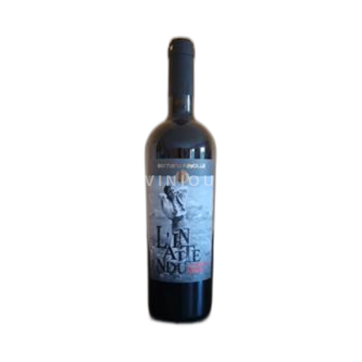 Vin Rouge sec L'inattendu Bernard FAYOLLE 2020 Moldavie Stefan Voda