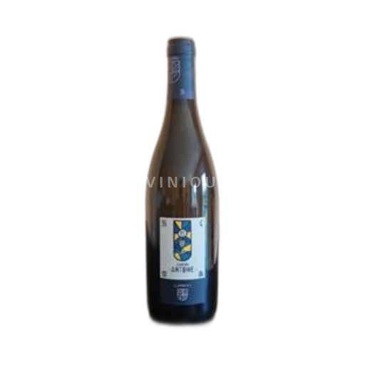 Valle del Loira Chinon Béatrice et Pascal Lambert Antoine 2019