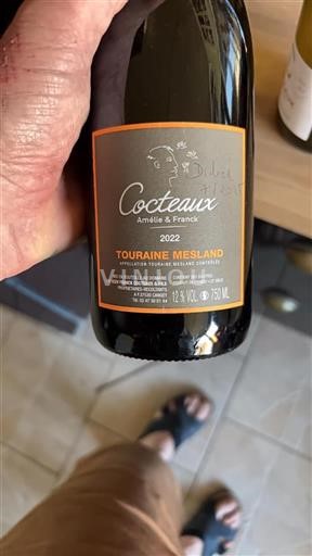 Loire Valley Touraine-Mesland Cocteaux 2022