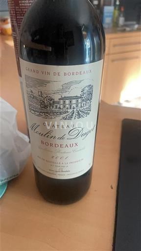 Vin Rouge sec Château Moulin de Dugas 2001 France Bordeaux AOC