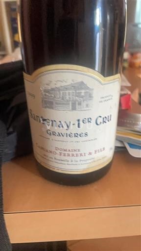 Bourgogne Premier Cru Domaine Capitain-Gagnerot 1999
