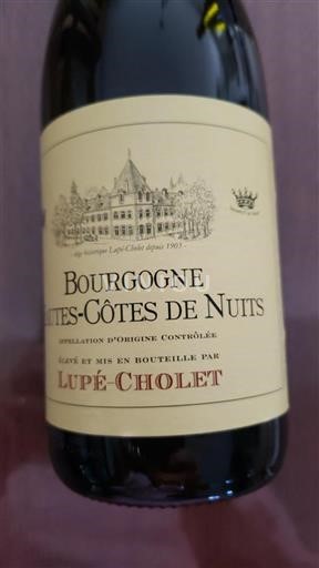 Borgogna Hautes Côtes de Nuits Lupé-Cholet 2021