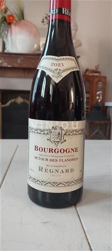 Burgundsko Régnard Retour des Flandres 2021