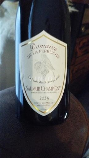 Valle del Loira Saumur-Champigny Domaine La Perruche La Pente des Rochepicaards 2024