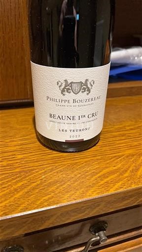 Burgundy Unspecified Premier Cru Philippe Bouzereau Les Teurons 2022