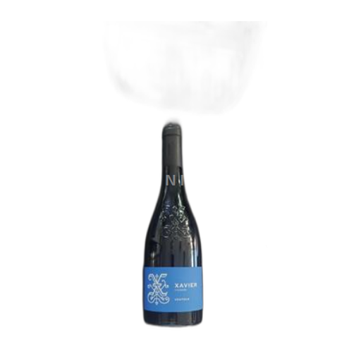 Rhône Valley Not Specified Xavier Vignon 2023 Non-Vintage