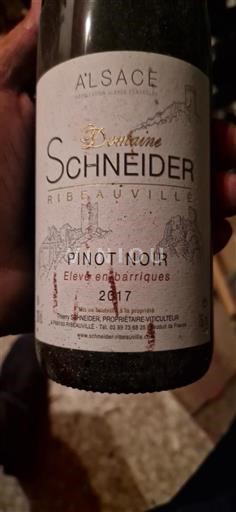 Vin Rouge sec Domaine Schneider 2017 France Alsace