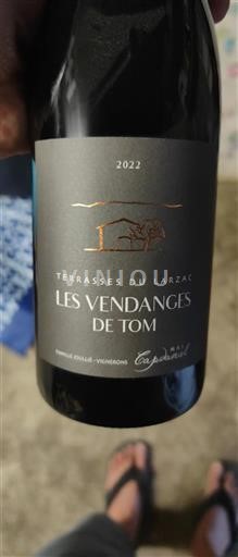 Languedoc Terrasses du Larzac Mas Capdaniel Les Vendanges de Tom 2022