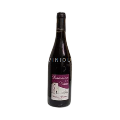 Valle del Loira Chinon Domaine La Tour Jeunes Vignes 2014
