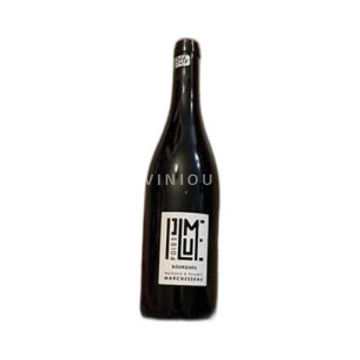 Valle del Loira Bourgueil Bertrand & Vincent Marchesseau Poids plume 2024