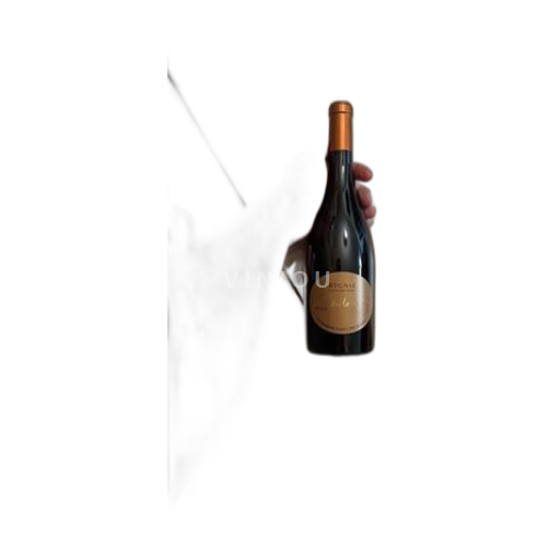Beaujolais Régnié Domaine Tano Péchard Caractère 2022