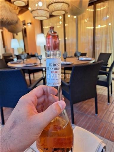 Castile and León Ribera del Duero Le Rosé de Antídoto 2020