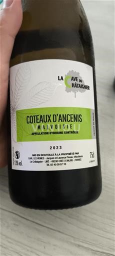 Valle della Loira Coteaux-d'Ancenis La Cave du Châtaignier 2023