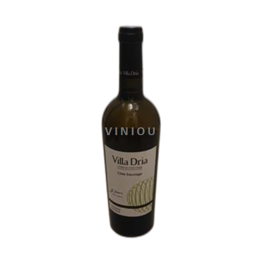 Südwestfrankreich Côtes de Gascogne Villa Dria Côte Sauvage 2023
