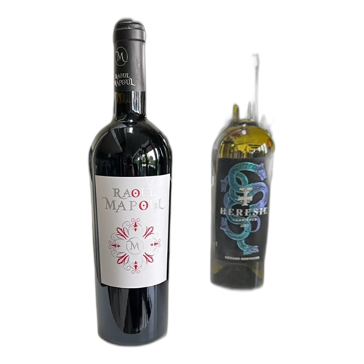 Vin Rouge sec Raoul Mapoul 2021 France Languedoc AOC