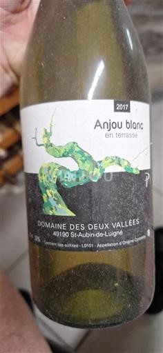 Údolí Loiry Anjou Domaine Des Deux Vallées en terrasse 2017