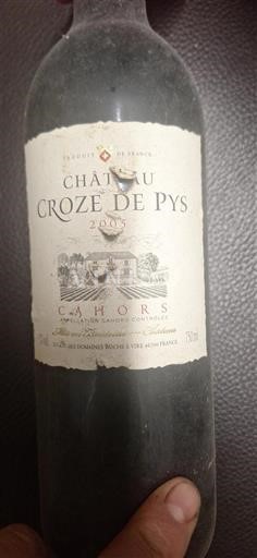 Sudoeste Cahors Château Croze de Pys 2005