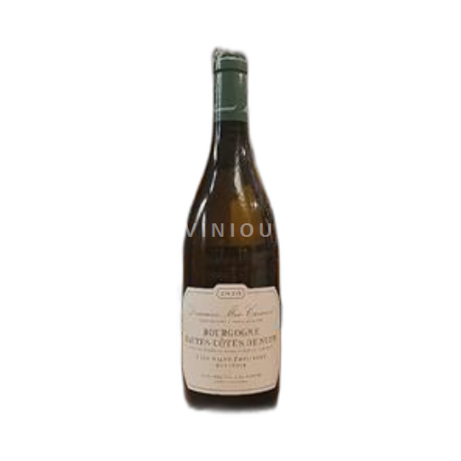Bourgogne Hautes Côtes de nuits Domaine Méo-Camuzet Clos Saint-Philibert Monopole 2020