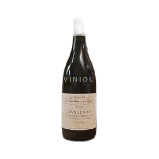 Borgogna Santenay Premier Cru Domaine Bachey-Legros 1er Cru Clos Rousseau Vieilles Vignes 2019