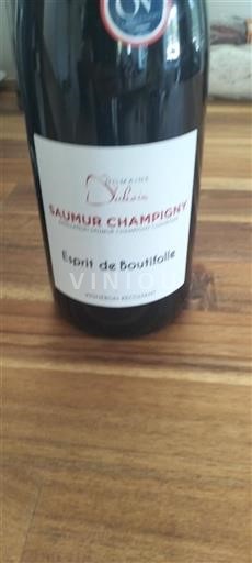 Vallée de la Loire Saumur-champigny Domaine Dubois Esprit de Boutifolle 2023