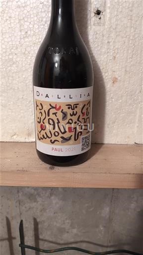 Vin Rouge sec Paul Tokaj 2021 Hongrie Tokaj